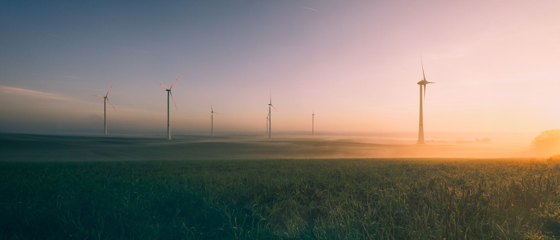Wind turbines in a field at sunrise, representing our sustainability mission